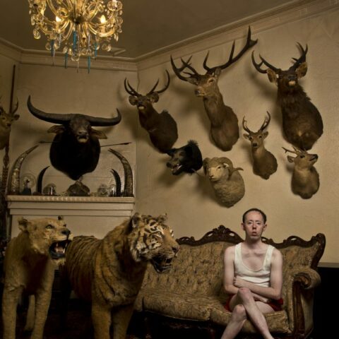 Man sitting on antique sofa in a room of taxidermied animals