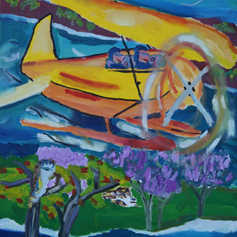 'Amazing Journey' by artist Belinda Peel. A colourful painting with a yellow small plane flying over a beach and two people looking at it from the shore.