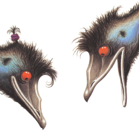 An illustration of two emus looking down on a white background
