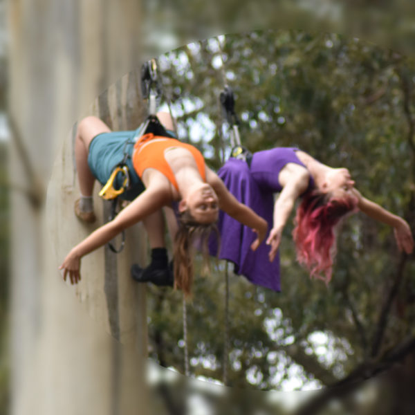 Two women are suspended from a tree, hanging vertically.