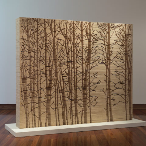 Image credit: Kylie STILLMAN Scape (2017), hand-cut plywood, 200 x 240 x 30cm, image courtesy of Utopia Art Sydney. Photography by Christian Cupurro.