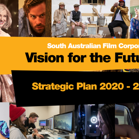 Vision for the Future: SAFC Strategic Plan 2020-2023