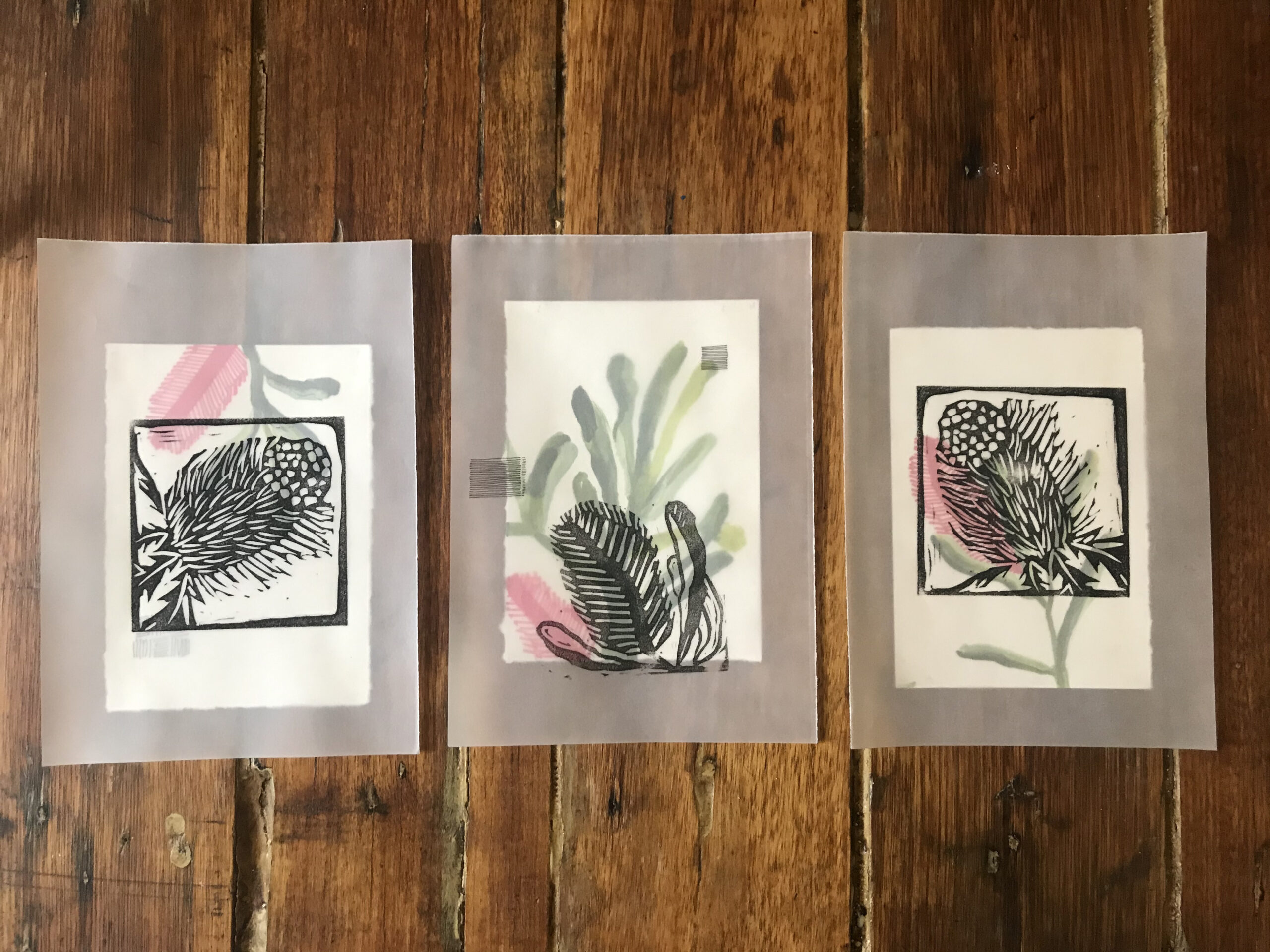 banksia flowers woodblock print, gouache and ink on paper