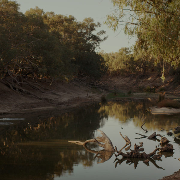 Still image from Gabriella Hirst's video installation 'Darling Darling' showing the Barka Darling River.