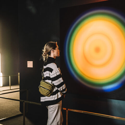 A person standing in front of the artwork Colour Cycle III (1970) by Peter Sedgley. The artwork is a large circle of light on a wall with rings of different colours including yellow, orange and blue. The person is looking at the artwork and they are wearing a striped black and white shirt.