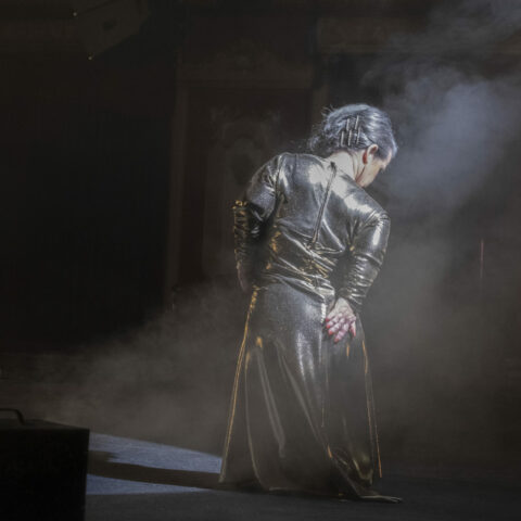 A photo of a person of short stature performing on stage. She is wearing a shiny dark dress and we can only see her back. There is a bright light shining on her with smoke surrounding her and the light.