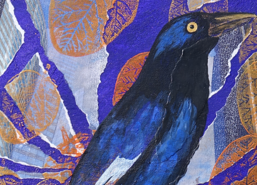  The Visitors by Andrea Carroll – Pictured is a painted blue and black crow above a colourful background of collage like consistency.