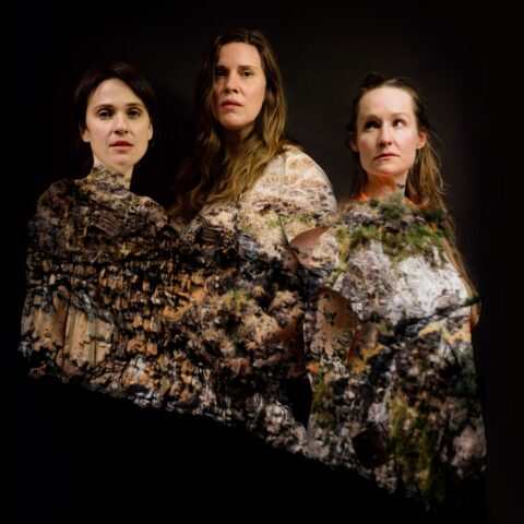 Three women, Mary-Helen Sassman, Kathrine Tonkin and Edwina Wren, appear dressed as a granite cliff face, collaged with rock-texture from their waistline to their shoulders. They are standing upright and facing forward against a surrounding black background.