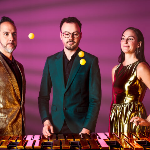 Both the background and the golden bars of the marimba are radiated by a beautiful pinkish magenta. Three musicians stand behind an instrument: on the left, a white man with a silver wave of hair and finely shaped goatee; in the middle a white man with dark brown hair, short cut beard and black circular rimmed glasses; and on the left a white long brown haired woman with dangling circular earrings. All three stare transfixed at three fluorescent ping pong balls either descending or ascending, above the instrument below. They each wear clothes for a party or a talent contest: the man on the left sports a confetti golden jacket; the woman on the right a shiny golden sleeveless dress. Together they flank the man wearing a jade regal green formal jacket.