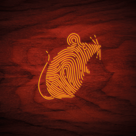 Line drawing of a mouse on a dark wood grain background