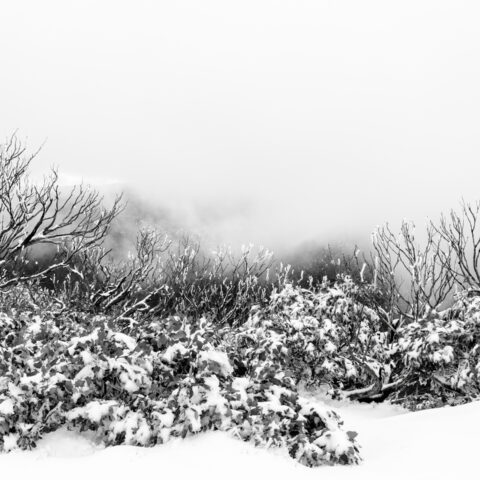Sarah Lynch, 'Above the Snow Line: Triptych 1, image 1’, 2023, photograph, 100x 66.7cm, (black and white), 2023, photograph, © the artist