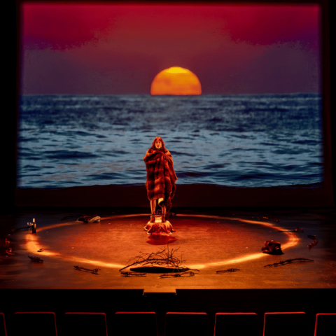 A figure draped in a fur coat stands in a spotlight within a circle of objects on a dark stage, with a large image of a sunset over the ocean projected behind them.