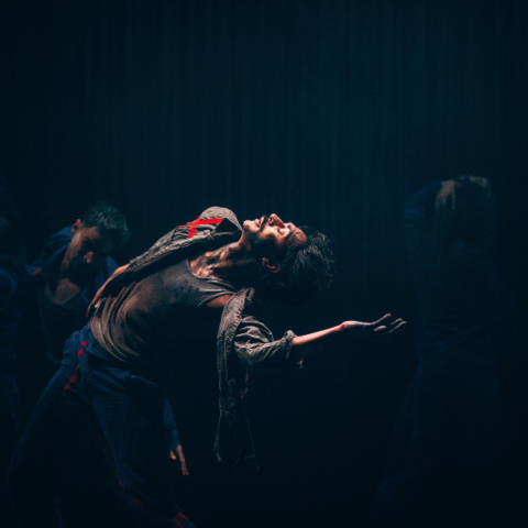 A dancer dramatically poses on stage under moody lighting with a dark background. Other dancers are partially visible. 