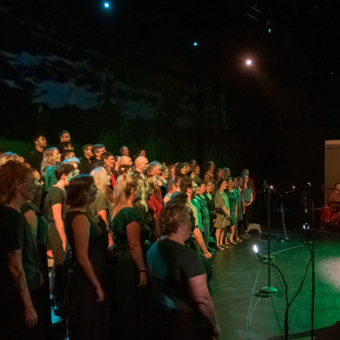 The singers of the Menagerie choir perform under a dreamy green light, a darkened skyscape behind them. 