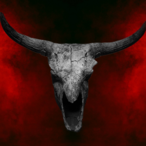 A red smokey background with a bulls skull overlay. 