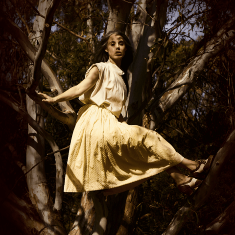 Young woman in lemon yellow dress and vintage shoes posing in Eucalyptus tree overlaid with dappled light and shadows 