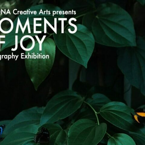 A dark close up photo of a green leaves. A bright yellow butterfly sits on one leaf. A flash of blue from another butterfly on another leaf. A dark butterfly camouflages into the background. Text reads: Your DNA Creative Arts presents “Moments of Joy” Photography Exhibition. Opening Thursday 12th September. From 6 pm for 7pm Launch. Unit 1/37-51 Lusher Rd Croydon.