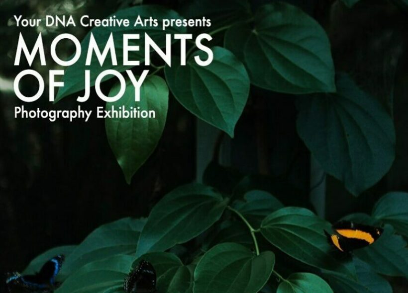 A dark close up photo of a green leaves. A bright yellow butterfly sits on one leaf. A flash of blue from another butterfly on another leaf. A dark butterfly camouflages into the background. Text reads: Your DNA Creative Arts presents “Moments of Joy” Photography Exhibition. Opening Thursday 12th September. From 6 pm for 7pm Launch. Unit 1/37-51 Lusher Rd Croydon.