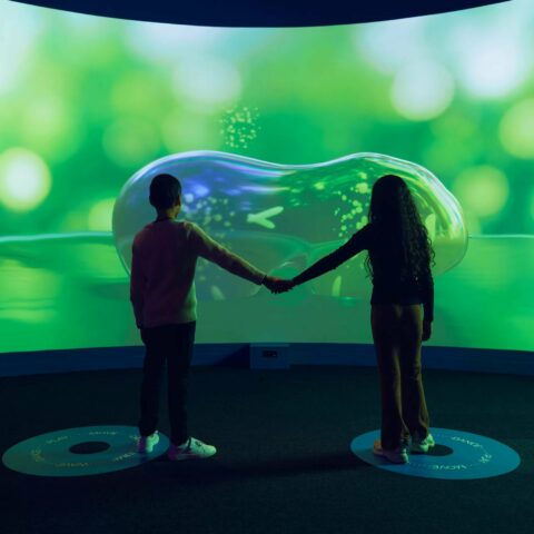 Two visitors in front of Symbiosis, an artwork in ACMI's Beings exhibition