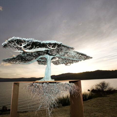 An artistic tree sculpture mounted on a wooden stand, highlighting the beauty of nature through skilled artistry.