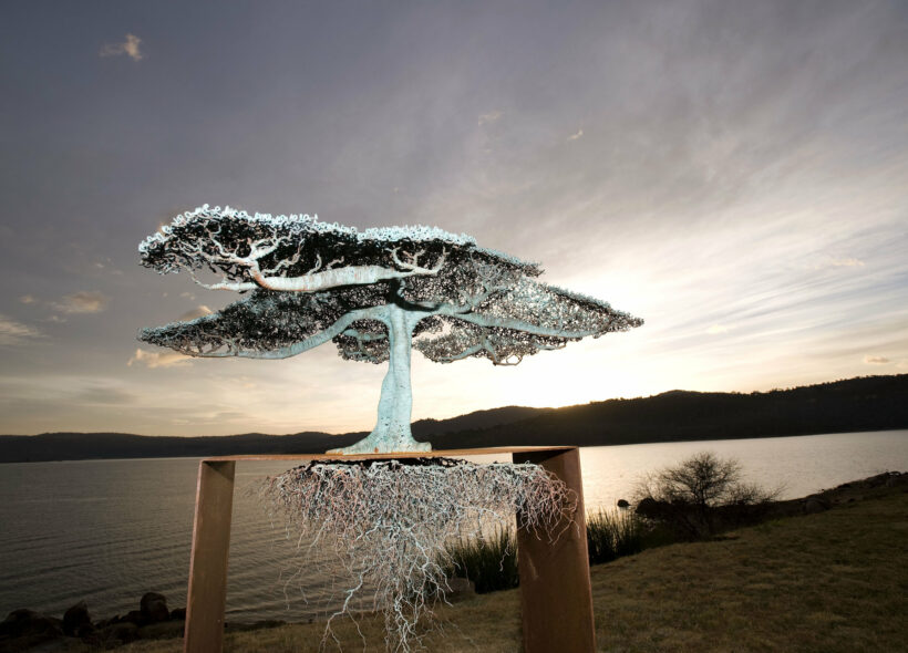 An artistic tree sculpture mounted on a wooden stand, highlighting the beauty of nature through skilled artistry.