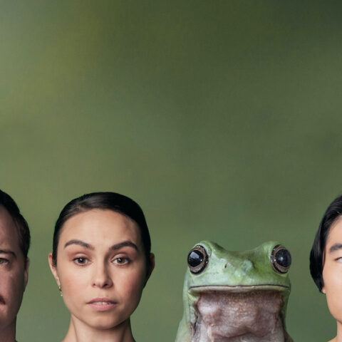 Three heads appear at the bottom of the image, with a frog in between them. On a green background