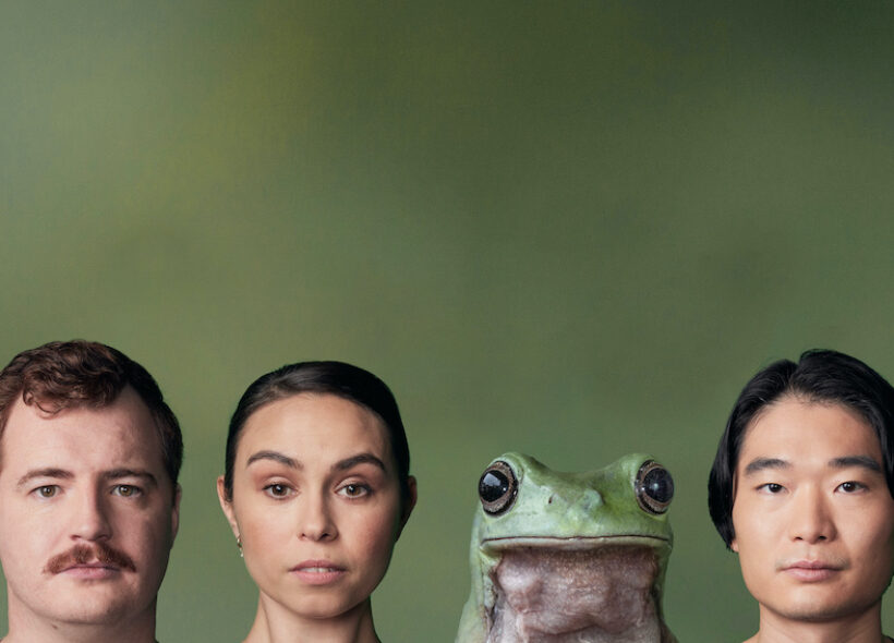 Three heads appear at the bottom of the image, with a frog in between them. On a green background