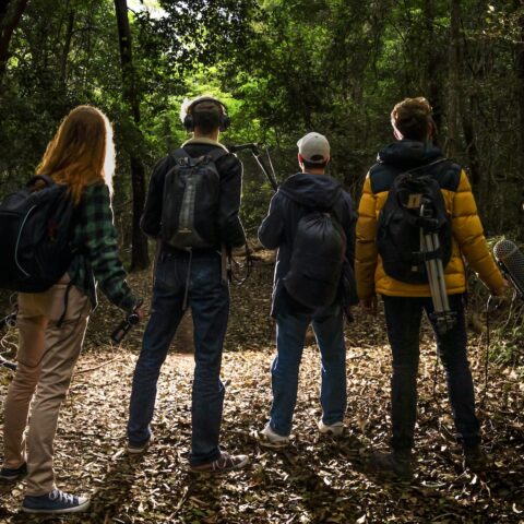 Four people stand in a forest with their backs to their camera. a light is shining in their faces