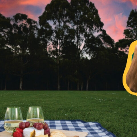 Theatre Under the Stars 