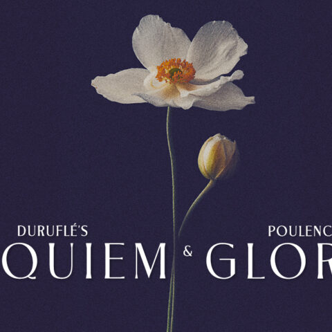 A delicate white flower and a bud against a dark background, with 