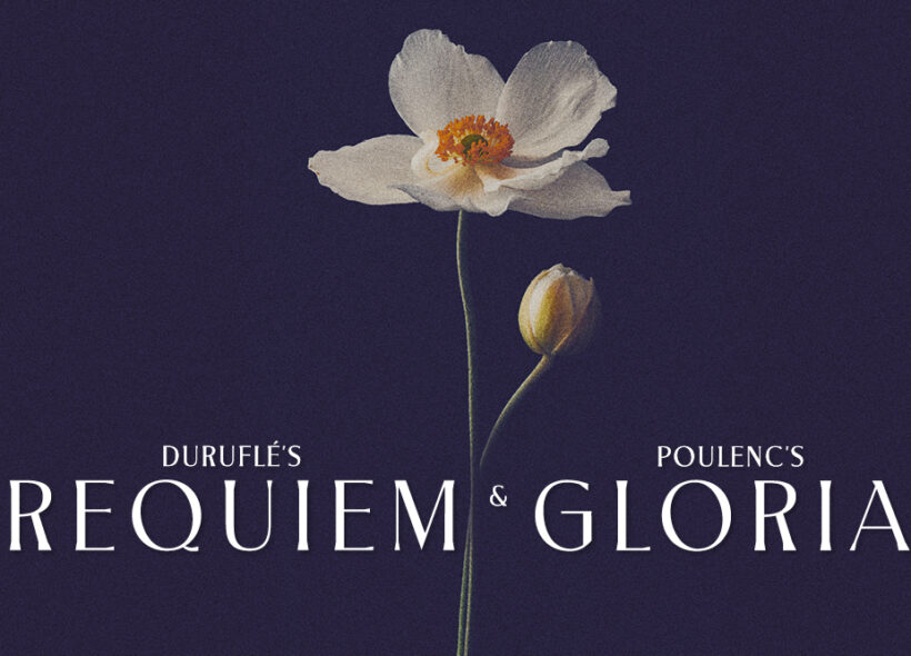 A delicate white flower and a bud against a dark background, with 