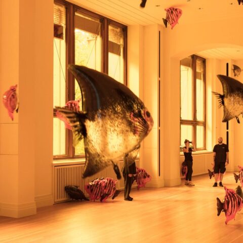 A sunlit museum gallery glows amber as visitors walk among oversized suspended fish sculptures, creating a calm, dreamlike exhibition.